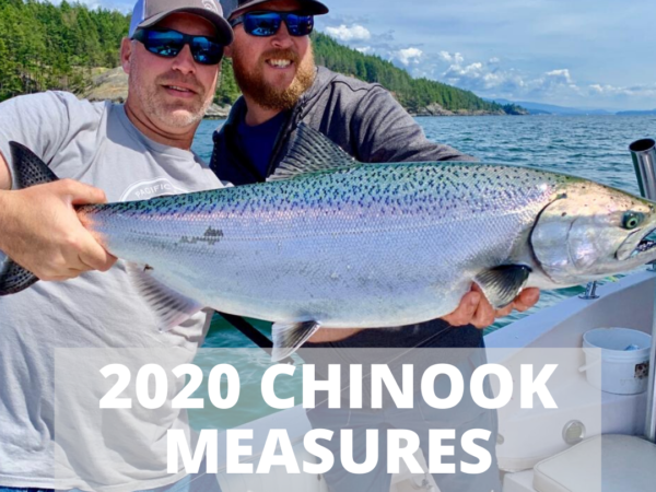 2020 CHINOOK MEASURES Response