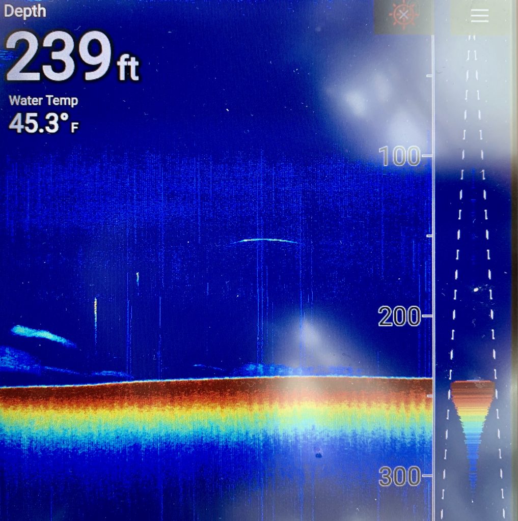 Sonar fish finder showing the depth