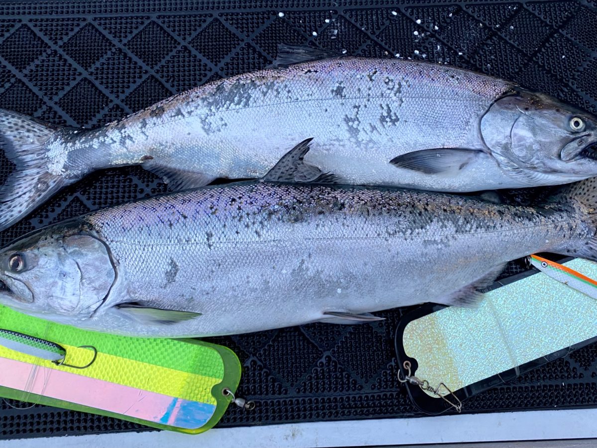 Vancouver_saltwater_fishing_winter_chinook_tackle