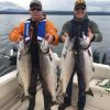 These four caught salmon are very large in the Vancouver waters