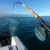 Winter salmon fishing with the rod trailing the boat