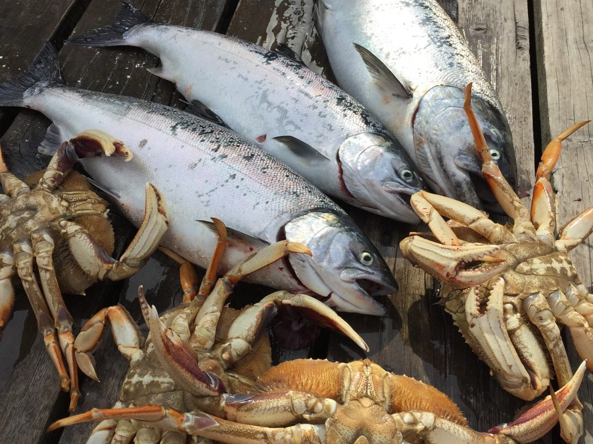 Vancouver salmon fishing and crabbing