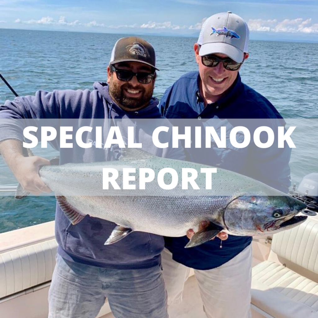 Special Chinook Report