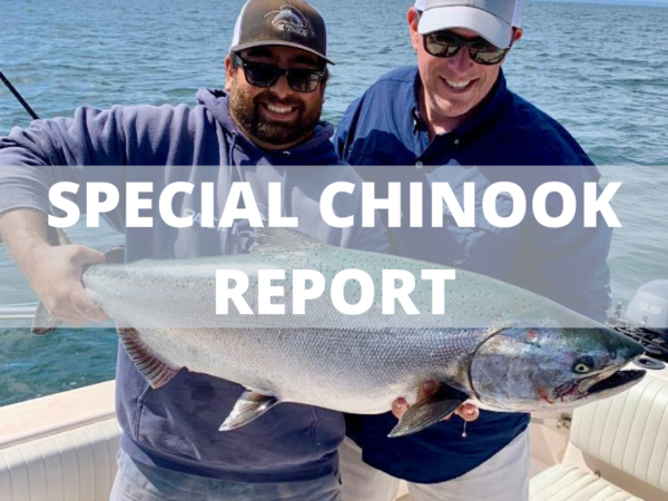 Special Chinook Report