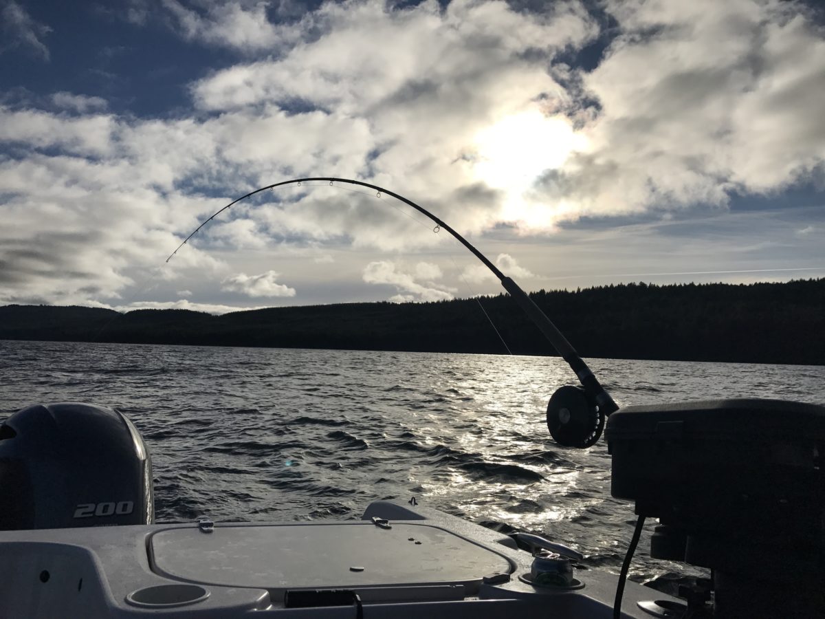 Ocean view - Vancouver Salmon Fishing Report: Friday, October 23, 2020
