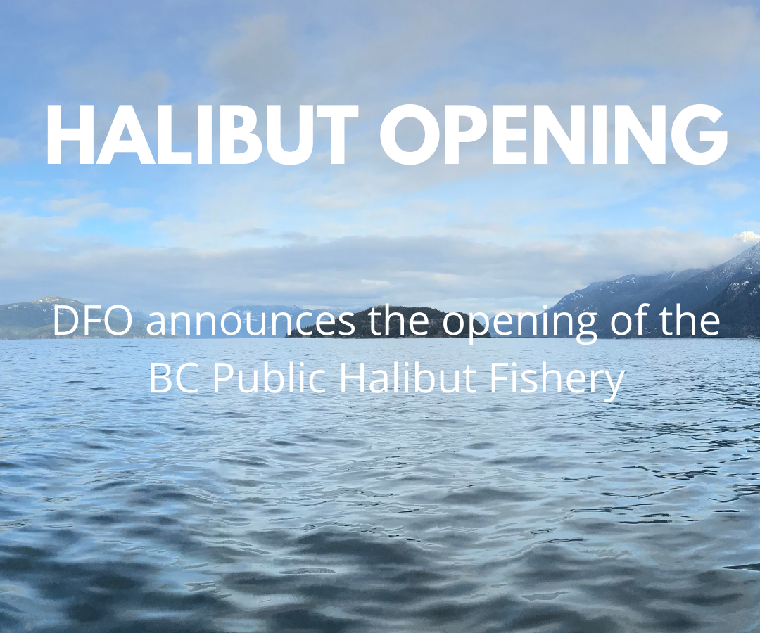 BC Public Halibut Fishery