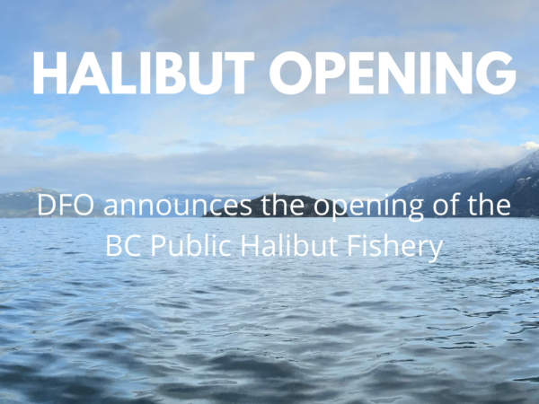 BC Public Halibut Fishery
