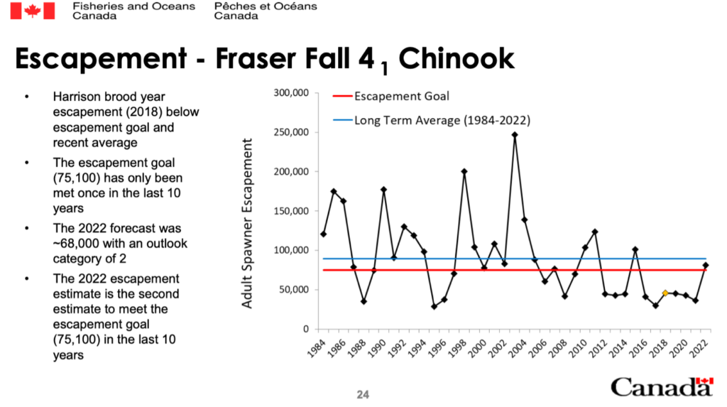 Fraser Fall 4.1