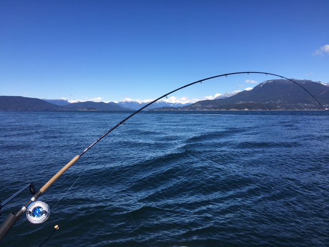 Vancouver Salmon Fishing Report: April 14, 2023 - Vancouver Salmon
