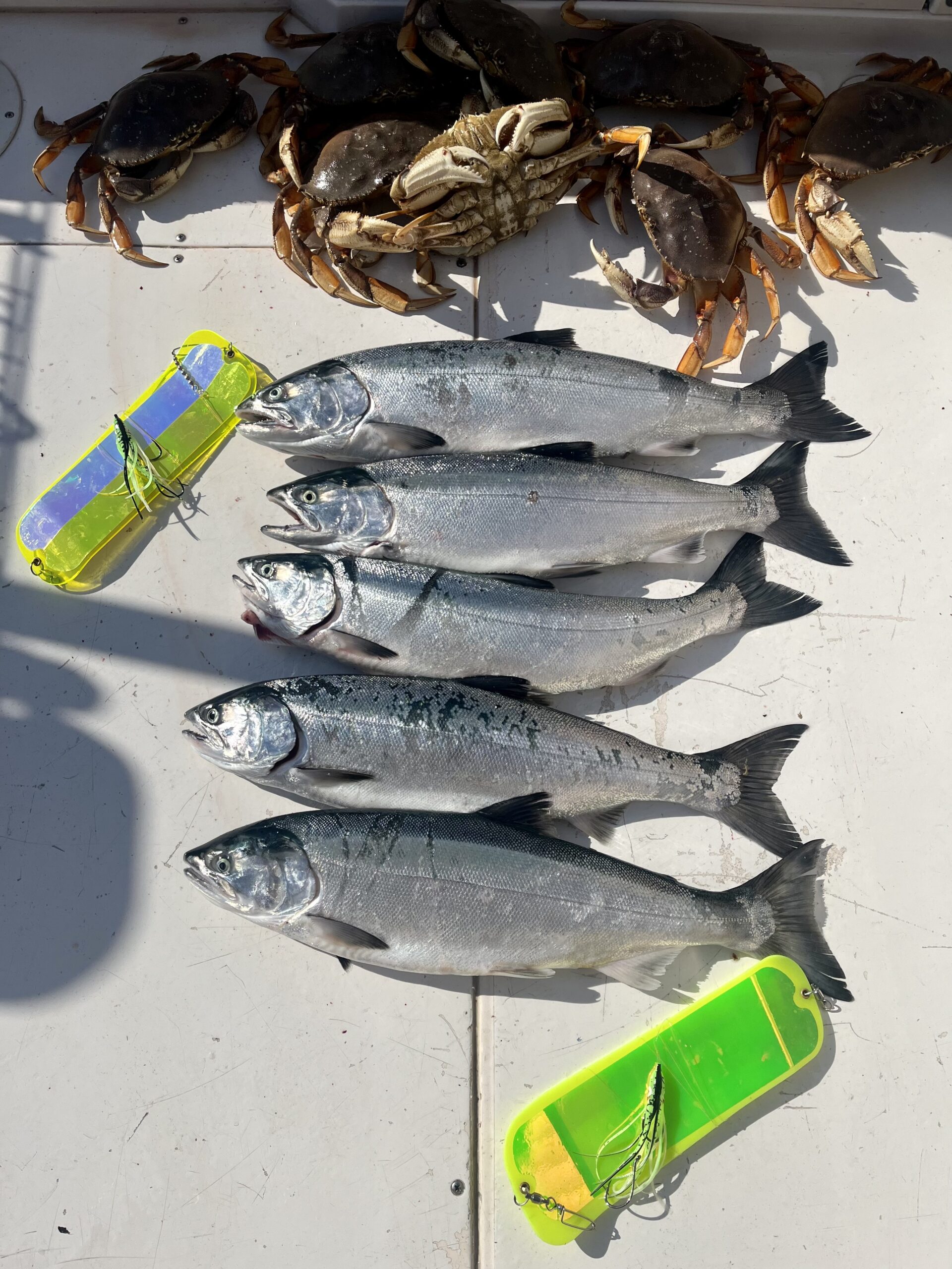 Vancouver Saltwater Fishing Reports: June 9, 2023 - Vancouver Salmon Fishing