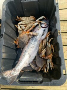 Saltwater_fishing_winter_chinook_Gabriola_crab_local_waters_Mar'24